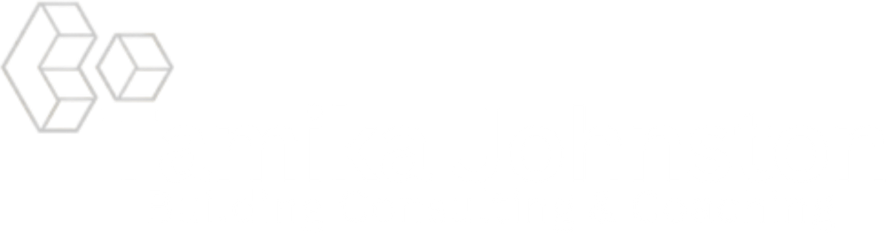 Tamika Johnston – Building Consultant & Coach